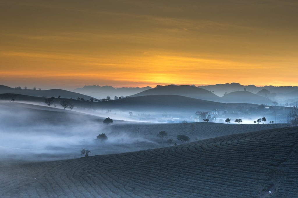 farm-3358870_1920
