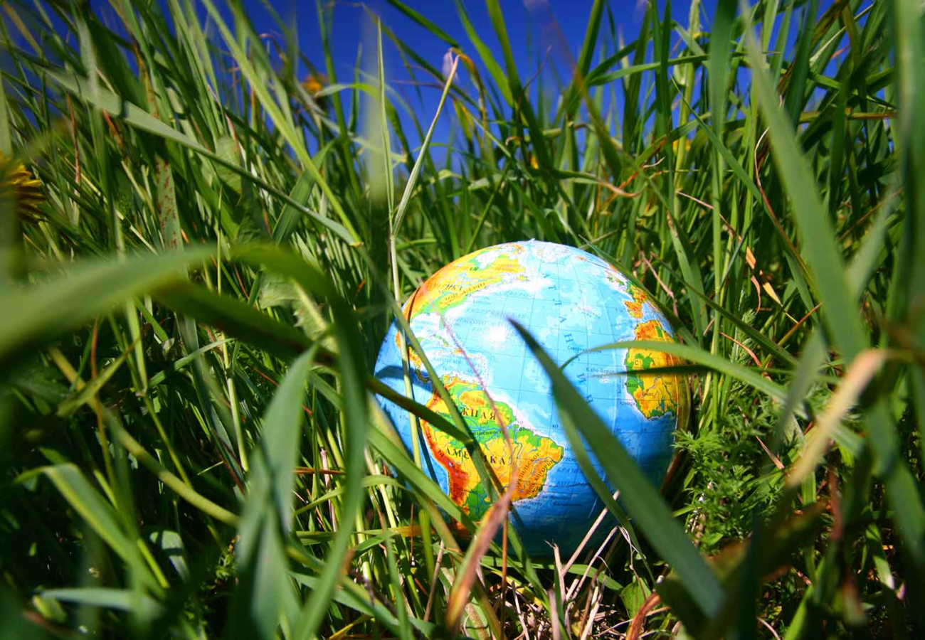 9 dicas para uma viagem com menos impacto ambiental - Enjoy Intercâmbio