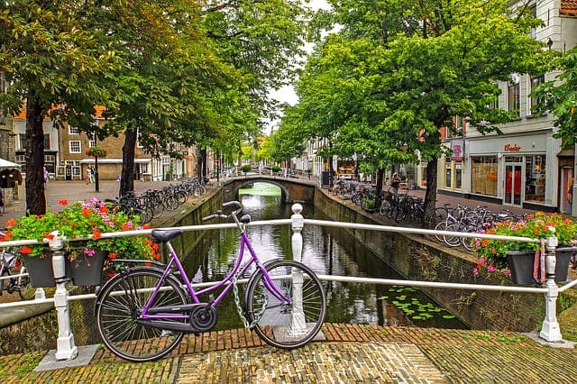 Tudo sobre a pesquisa na Holanda